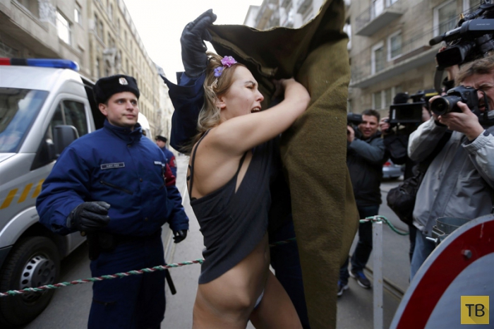 (18+) FEMEN      (8 )