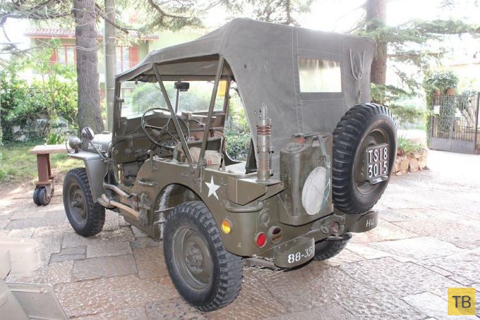   "Willys" (11 )