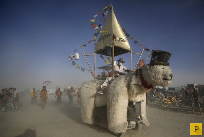  Burning Man 2015     (51 )