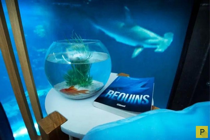         L'Aquarium de Paris   (7 )