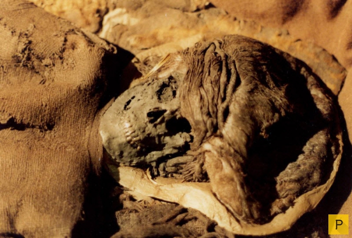 Мумия. Мумифицирования. Все о мумиях (фото, видео). Интересные факты о самых необычных мумиях в истории. 1468214849_ya8
