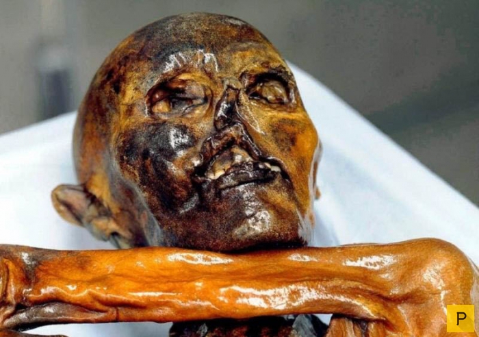 Мумия. Мумифицирования. Все о мумиях (фото, видео). Интересные факты о самых необычных мумиях в истории. 1468214857_ya9