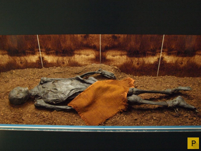 Мумия. Мумифицирования. Все о мумиях (фото, видео). Интересные факты о самых необычных мумиях в истории. 1468214862_ya11