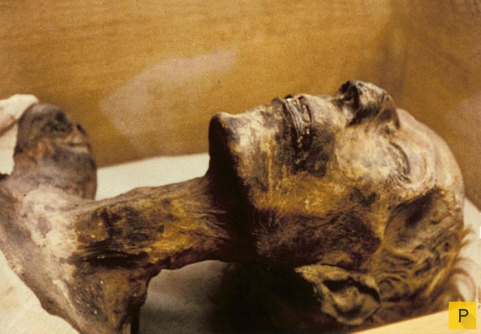 Мумия. Мумифицирования. Все о мумиях (фото, видео). Интересные факты о самых необычных мумиях в истории. 1468214887_ya7