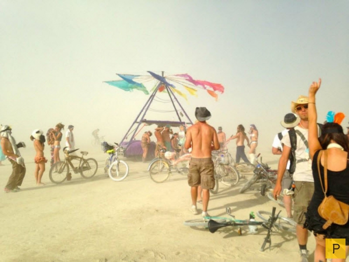   Burning Man     (38 )