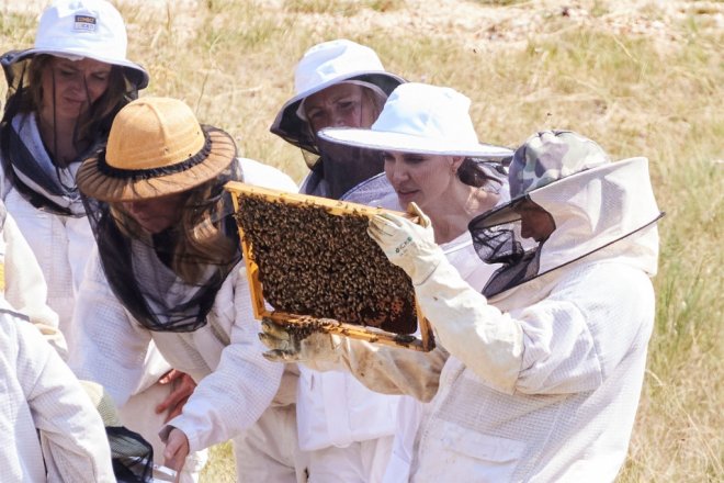 Самый гламурный пчеловод - Анджелина Джоли во Франции