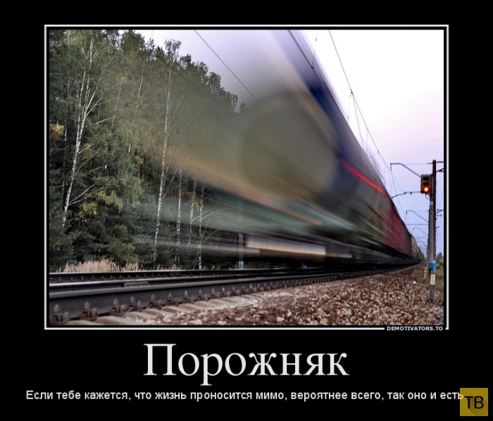 Проносится мимо песня. Демотиватор. Логист демотиватор. Шутки про логистику. Картинки демотиваторы смешные.