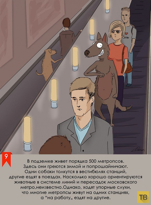 Подборка интересных фактов, легенд и мифов о Московском метро (10 фото)