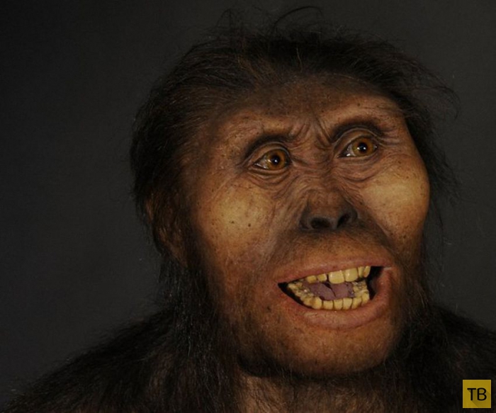 Люди, которые жили миллионы лет назад (10 фото)