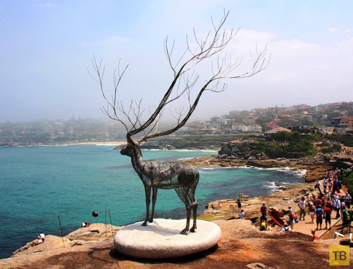 Скульптуры на пляже в Австралии (8 фото)