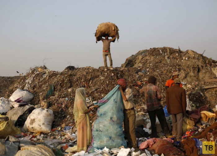 Тяжелый труд в Индии (19 фото)