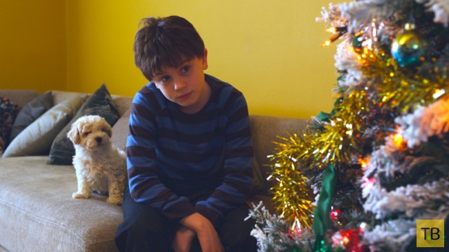 Топ 24: Фильмы, которые поднимут новогоднее настроение (25 фото)