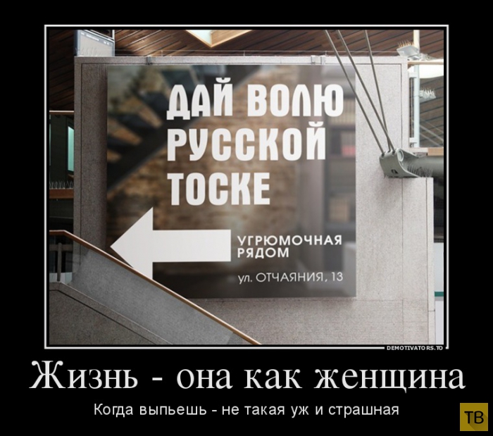 Подборка демотиваторов 27. 11. 2014 (34 фото)
