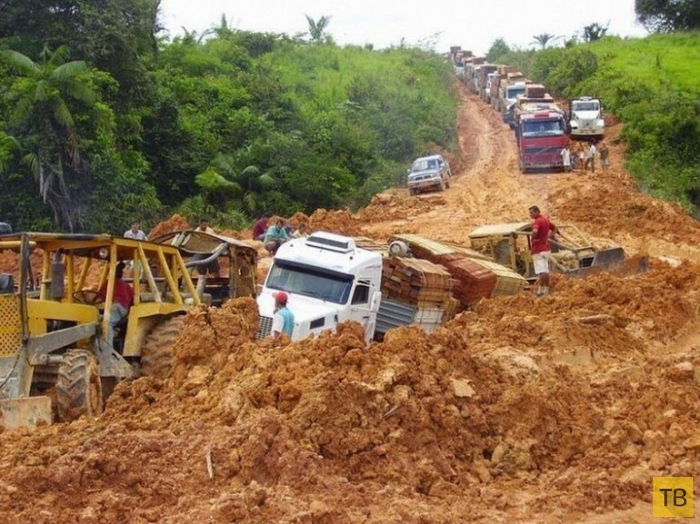 Трансамазонское шоссе: экологическая катастрофа в Бразилии (13 фото)