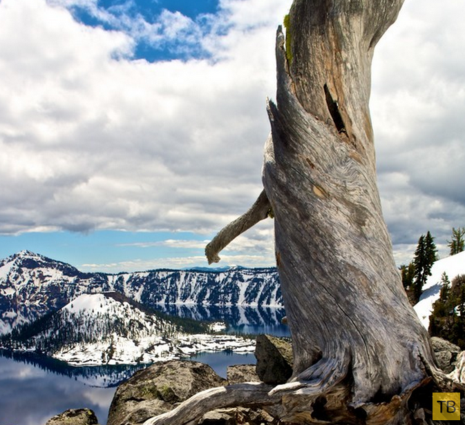 Озеро Крейтер - жемчужина штата Орегон, США (9 фото)
