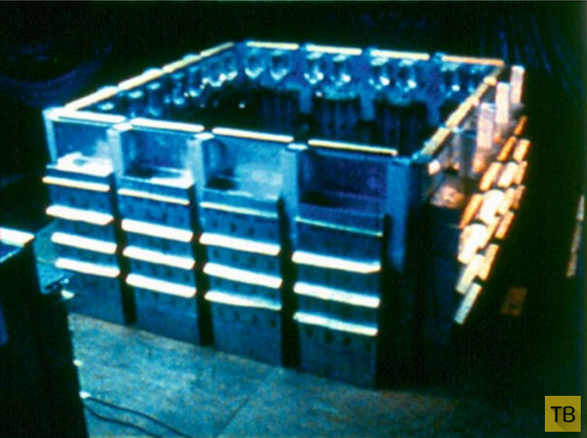 Вселенная-25 - эксперимент американского ученого Джона Кэлхуна (15 фото)