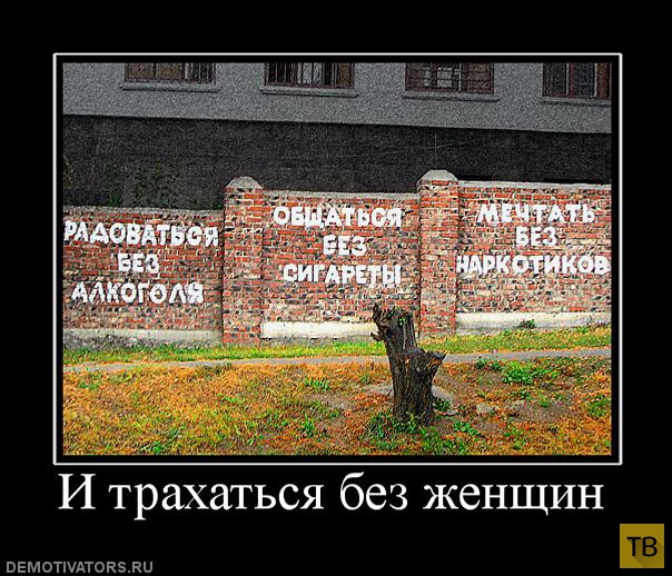 Подборка демотиваторов 11. 12. 2014 (31 фото)