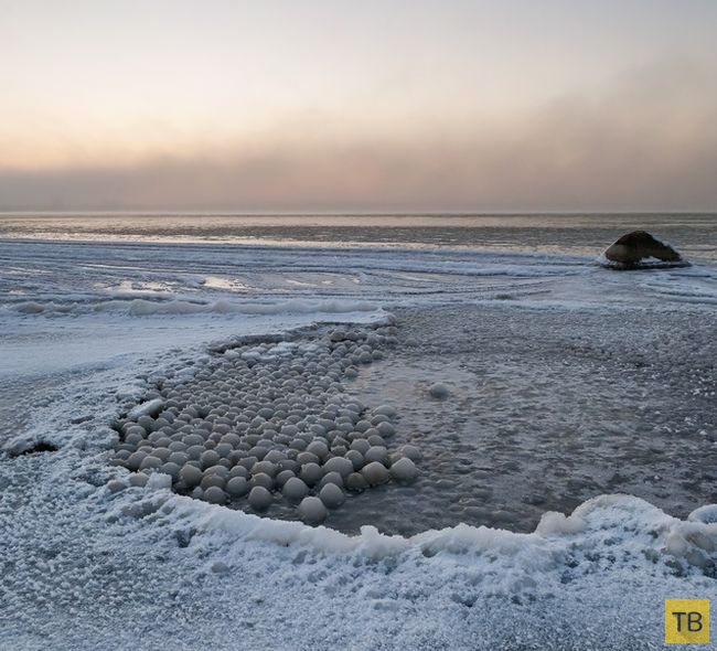Необычное явление в Таллине на побережье Финского залива (4 фото)