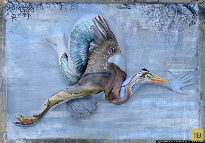 «Дикая природа Флориды» - боди-арт работы художницы из Флориды Шеннон Холт (8 фото)