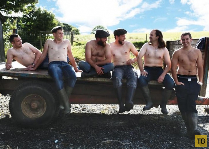 Загорелые и мускулистые фермеры в ежегодном календаре "The Irish Farmer Calendar" (11 фото)
