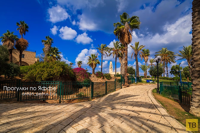 Прогулка по Яффе в Израиле (15 фото)