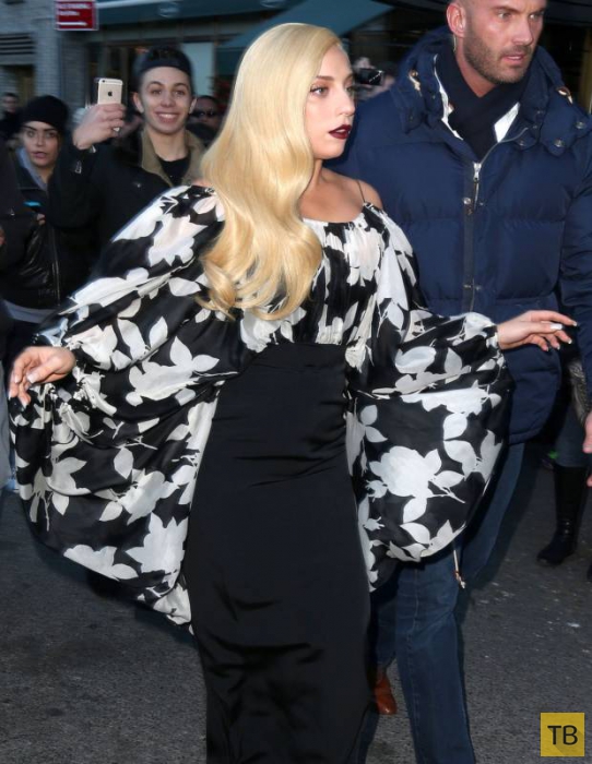 Леди Гага - лысая! (13 фото)