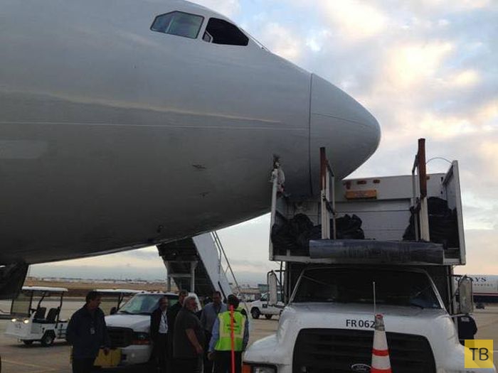В трехместный авиалайнер Airbus въехал грузовик (7 фото)