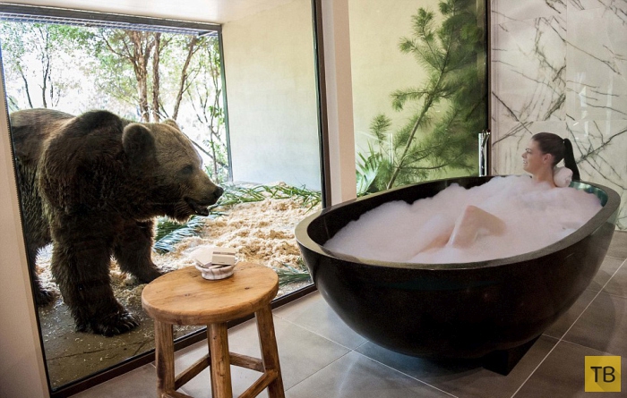Необычный отель "Jamala Wildlife Lodge" в Австралии (8 фото)