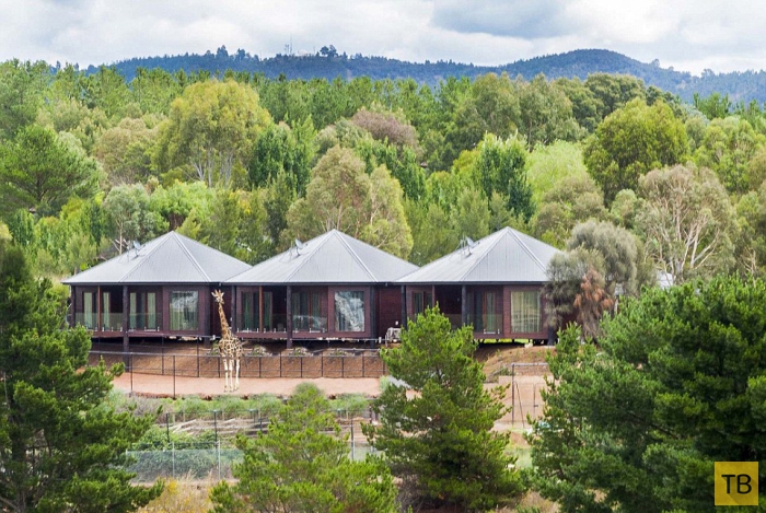 Необычный отель "Jamala Wildlife Lodge" в Австралии (8 фото)