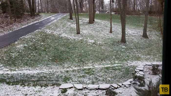 В Вирджинии закрыли школу из-за осадков в виде снега (3 фото)