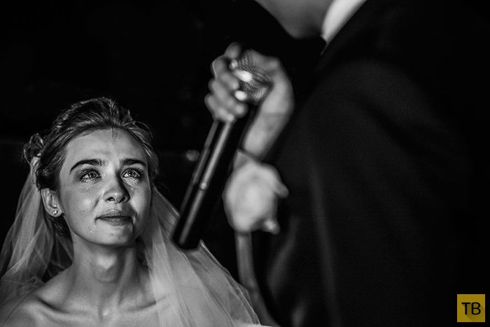Лучшие свадебные фотографии 2014 года (26 фото)