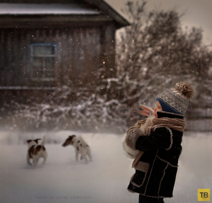 Добрые деревенские фотографии от Елены Шумиловой (25 фото)
