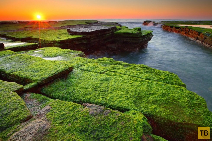 Каменный пляж Туриметта в Австралии (9 фото)
