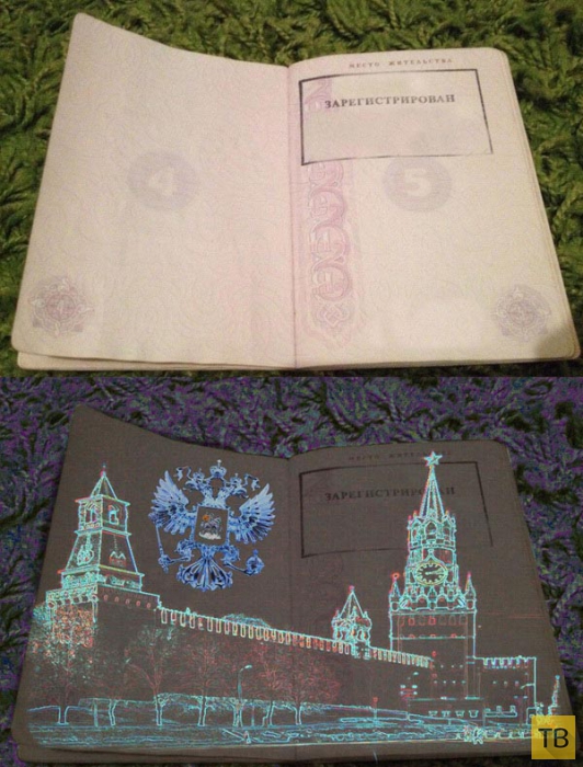 Как бы выглядел российский паспорт в свете ультрафиолета? (7 фото)