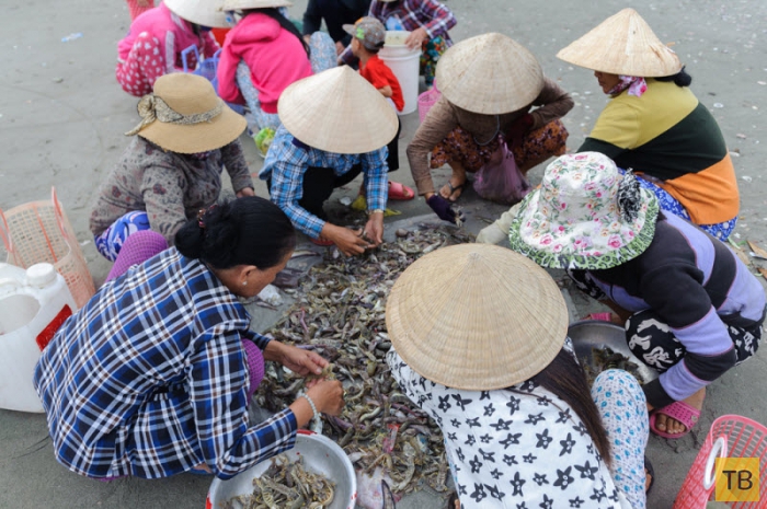 Рыбный рынок в Муй Не - Вьетнам (49 фото)