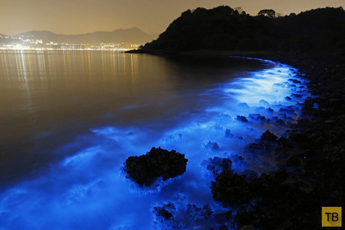 Необычное свечение на побережье Гонконга (4 фото)