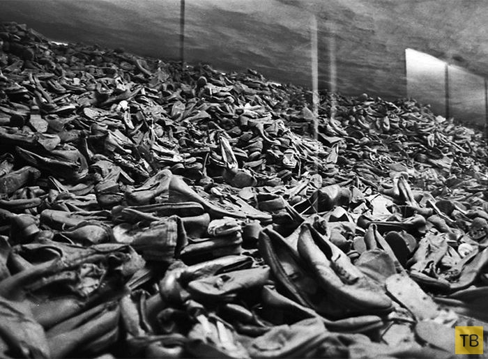 Лагерь смерти Освенцим: страшные цифры и факты (16 фото)