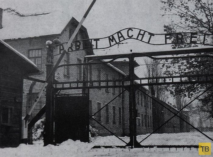 Лагерь смерти Освенцим: страшные цифры и факты (16 фото)