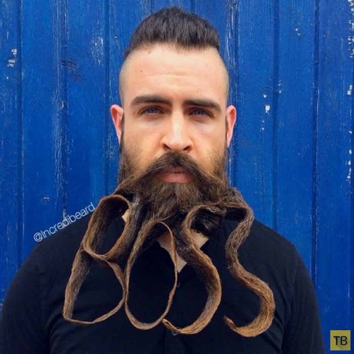 Исаия Уэбб - мужчина с удивительной бородой (17 фото)