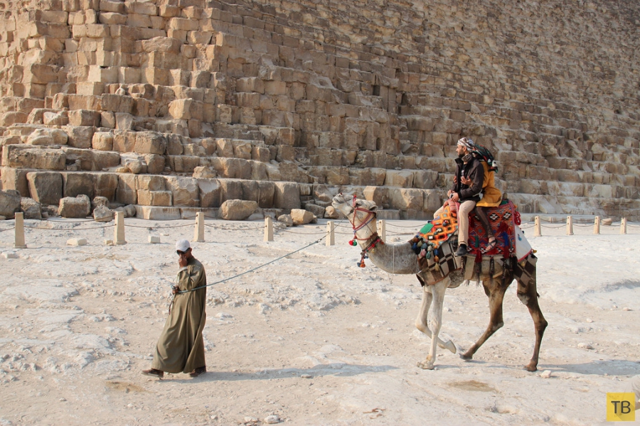 Сочельник у египетских пирамид (25 фото)