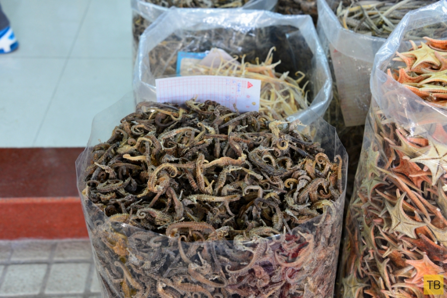 Лекарственный рынок Цинпин в Гуанчжоу, Китай (15 фото)