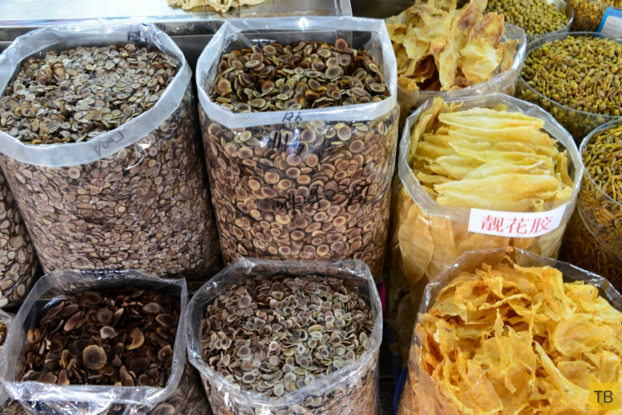 Лекарственный рынок Цинпин в Гуанчжоу, Китай (15 фото)
