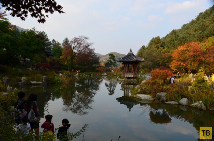 Сад утреннего спокойствия в Южной Корее (9 фото)