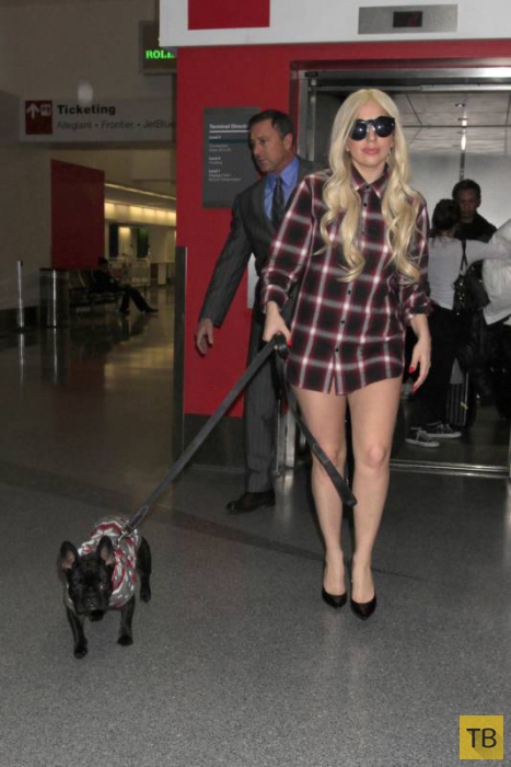 Леди Гага в легкомысленном наряде на прогулке с собакой (11 фото)