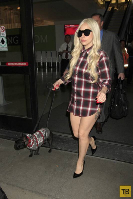Леди Гага в легкомысленном наряде на прогулке с собакой (11 фото)