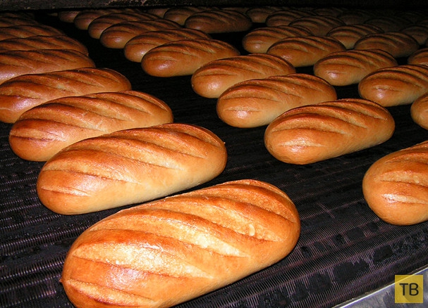 Хлеб такой, каким мы его помним (14 фото)