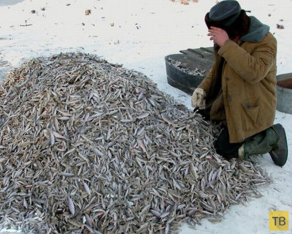 Вот, такая она - настоящая русская рыбалка (34 фото)