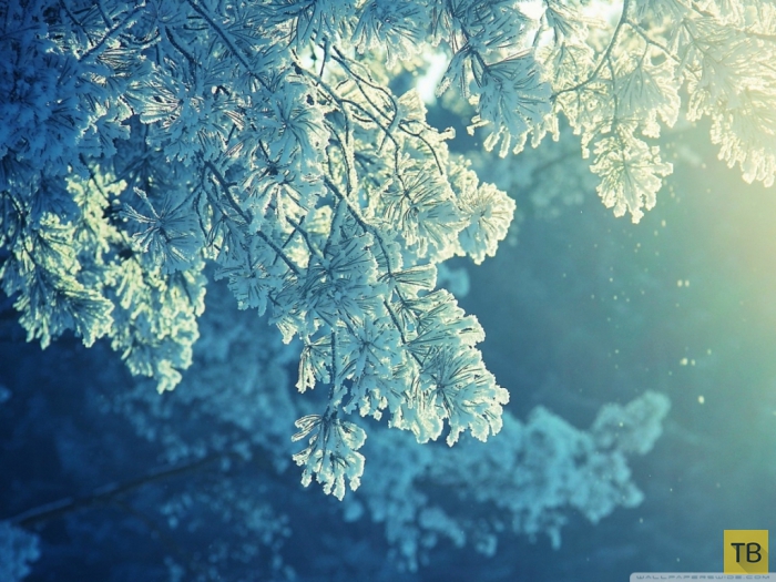 Подборка красивых фотографии зимней природы (31 фото)
