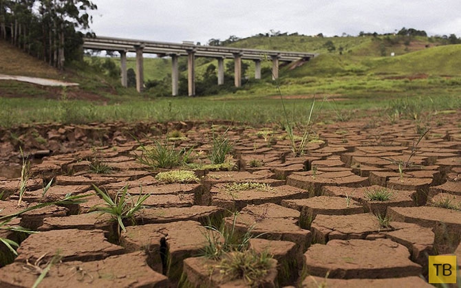 В Бразилии засуха сильнейшая за последние 85 лет (14 фото)