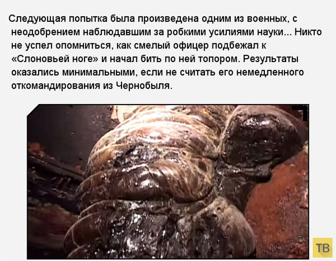 Тайны Чернобыльской АЭС: «Слоновья нога» в зоне отчуждения (11 фото)